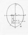 /album/fotogaleria/proporciones-copia-jpg/